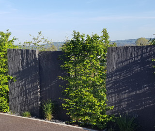 Gartenanlage mit Sichtschutzzaun und integrierter Bepflanzung für mehr Privatsphäre.