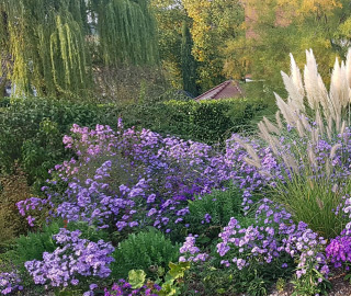 Blühendes Gartenbeet mit Stauden, Ziergräsern und üppiger Bepflanzung in naturnaher Gartengestaltung.