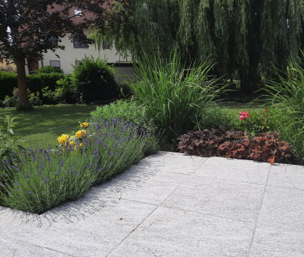 Ruhige Gartenanlage mit Terrasse und harmonischer Bepflanzung.