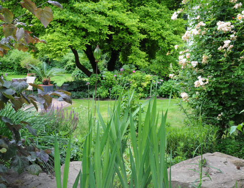 Vielfältige Gartenbepflanzung mit Stauden, Gehölzen und blühenden Pflanzen in einem gepflegten Privatgarten.