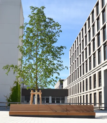 Neu gepflanzter Baum mit Sitzbank zwischen modernen Gebäuden.
